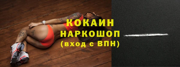 стафф Михайловск